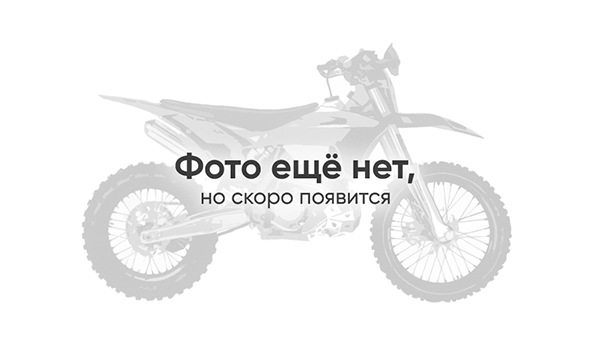 Мотоцикл Avantis LX 300 CBS (ZS177MM) 2024 ПТС