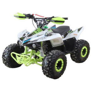 Квадроцикл Racer RC110 COYOTE (2025)