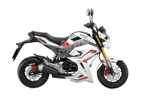 Мотоцикл PROMAX STRYKER 200(49) OFF-ROAD 2.0 Мотоцикл PROMAX STRYKER 200(49) OFF-ROAD 2.0