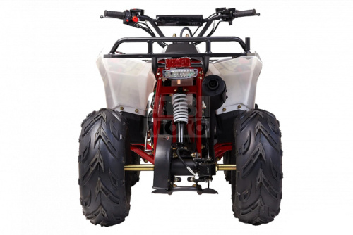 Квадроцикл WELS Thunder Evo.M 110 Квадроцикл WELS Thunder Evo.M 110