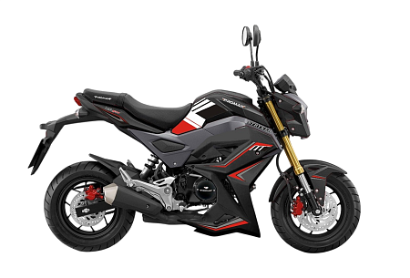 Мотоцикл PROMAX STRYKER 200
